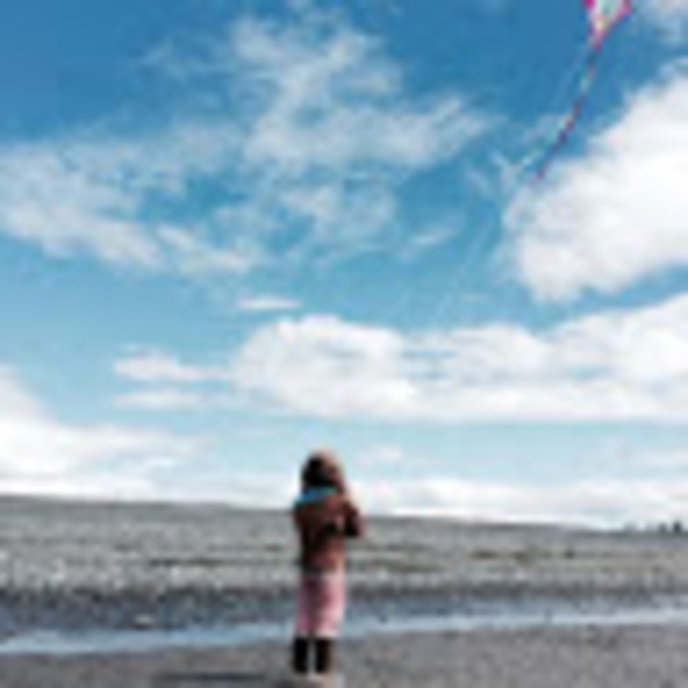 Meet your Posher, Jessie